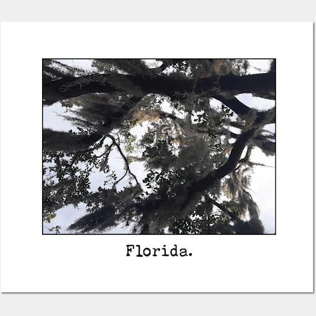 Florida at a Glance Wall Art by Underdog Designs